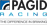 Pagid Racing - Corporate Logo